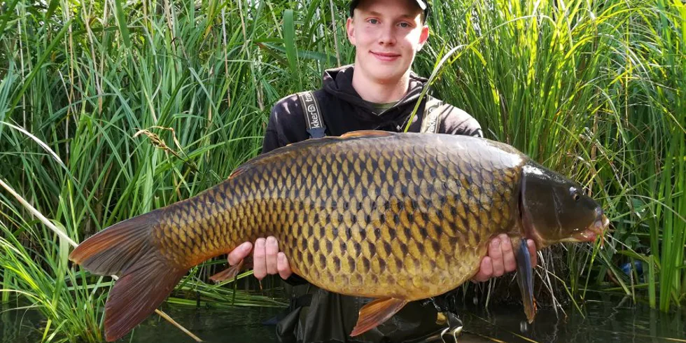 Devill krill úřaduje 1.část