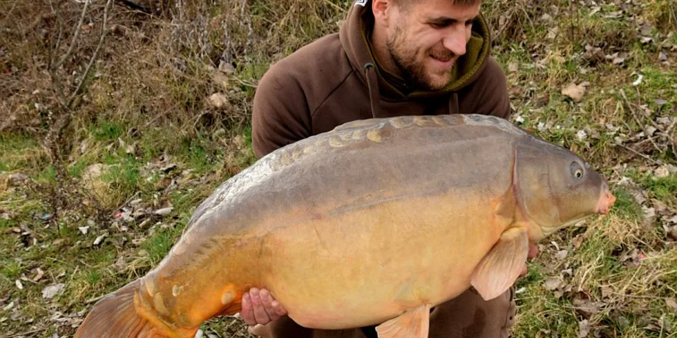 Prvé jarné vychádzky
