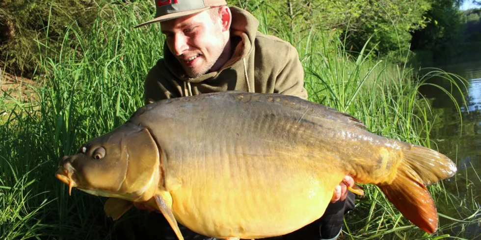 Opětovné setkání