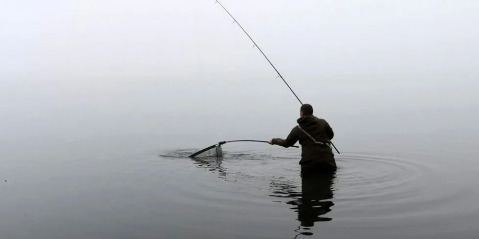 Mlhavá podzimní rána