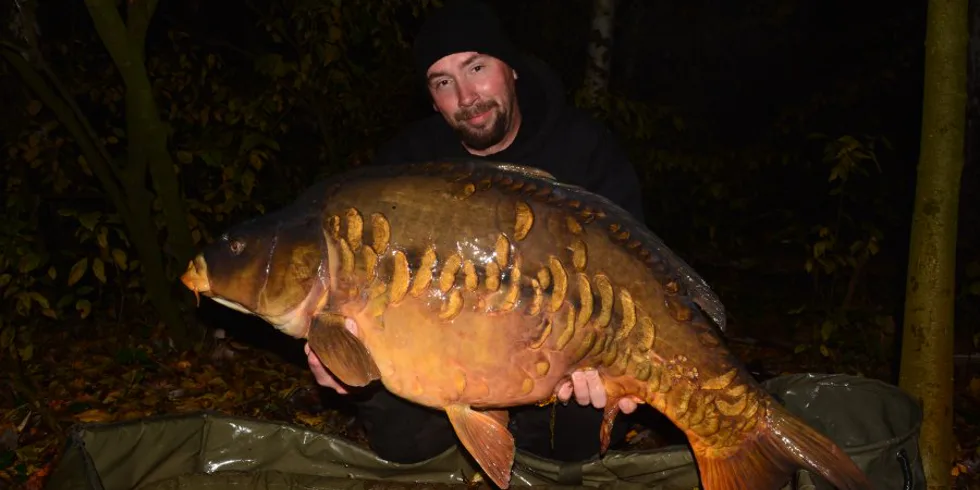 Listopadový řádek