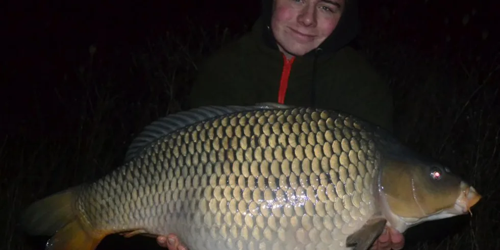 Začátek prosince ve znamení Devill Krillu