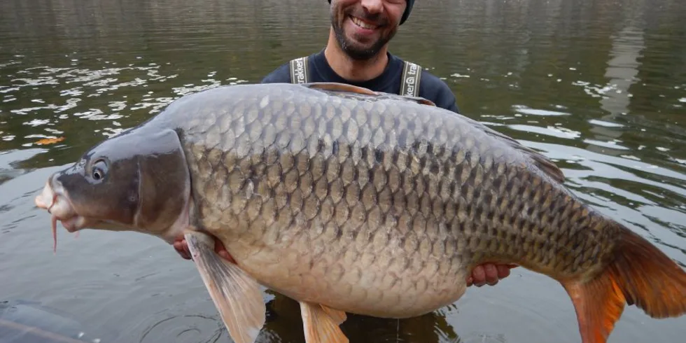 ORLÍK - LISTOPAD 2019