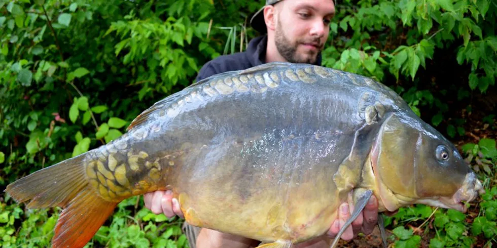 Podzimní výprava na Labe