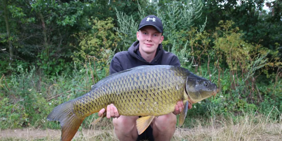 Devill Krill úřaduje, 2. část