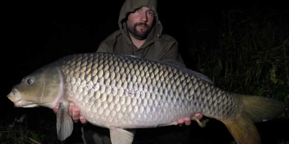 Krátké vycházky s Filipem