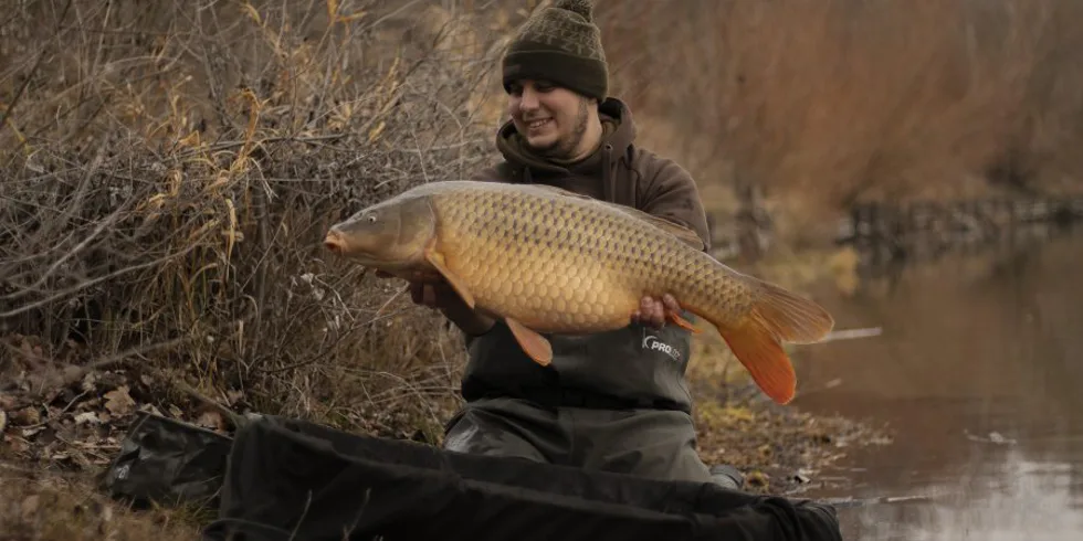 Předvánoční lov kaprů