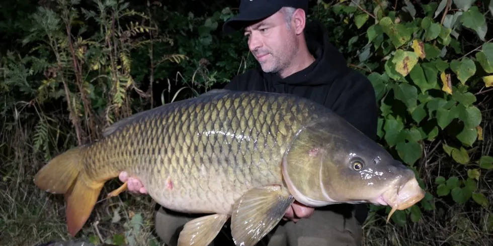 Pískovna po setmění