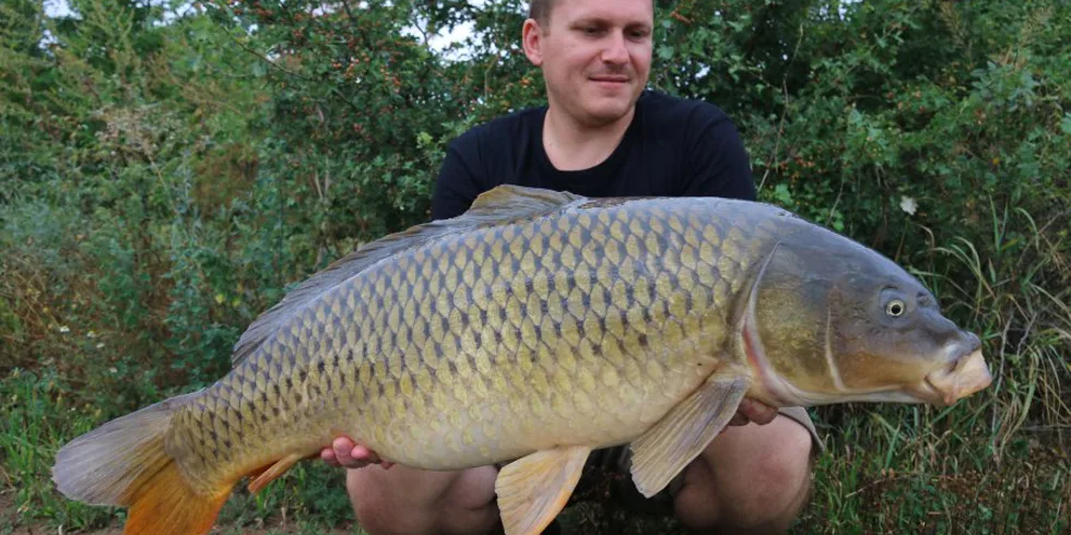 Léto se „Scopexem“