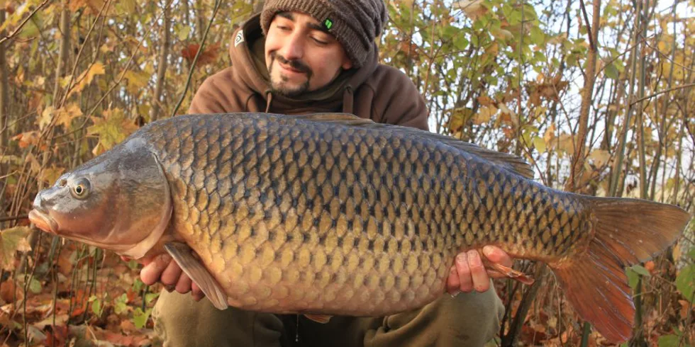 Podzimní krmná kampaň část - část.1