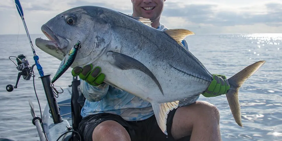 Krátké zimní vycházky