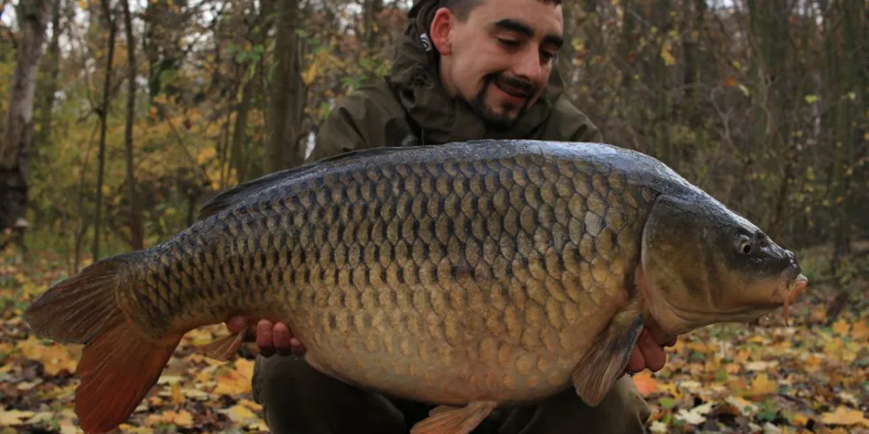 Podzimní krmná kampaň část - část 2