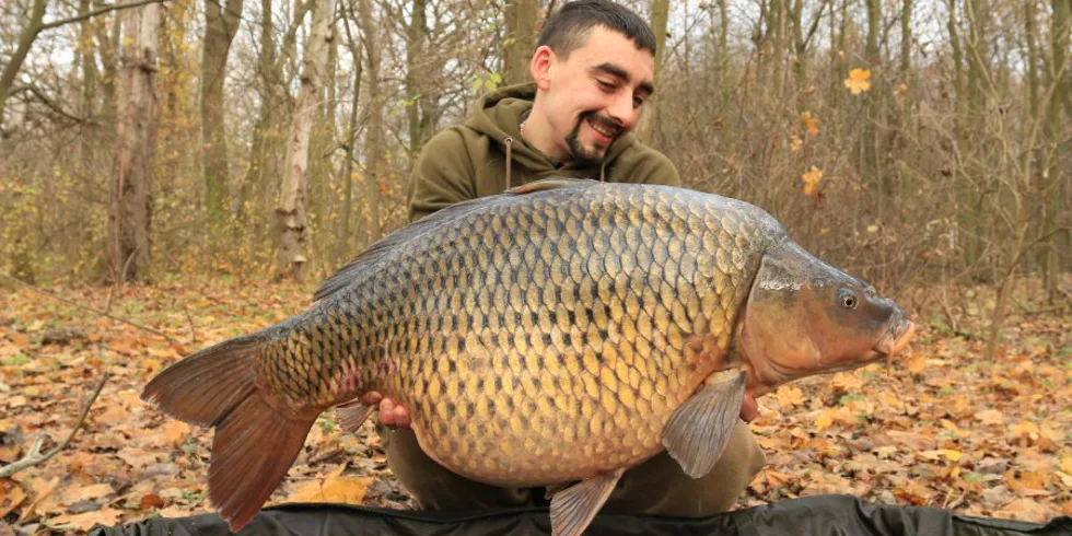 Podzimní krmná kampaň část - část 3