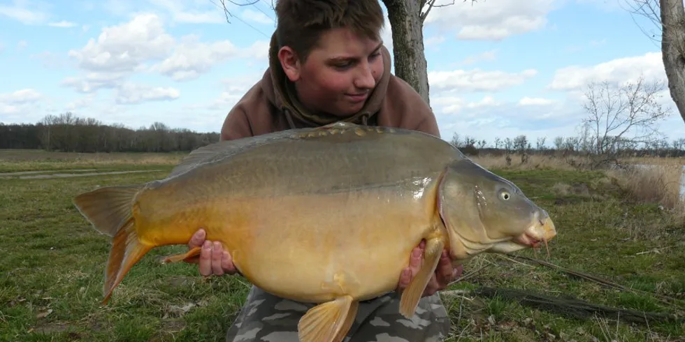 Pár hodinovka v znamení lyscov