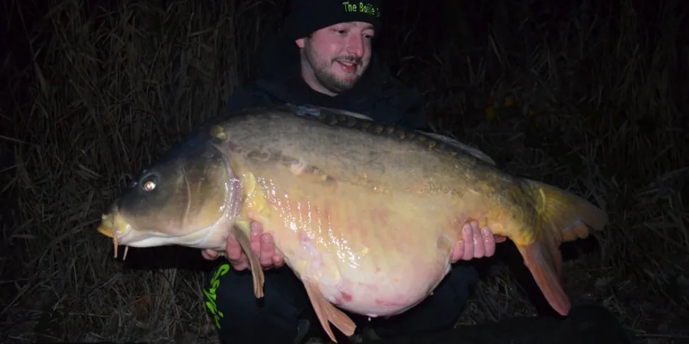 Třešnička na dortu