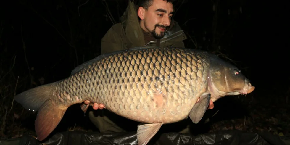 Podzimní krmná kampaň část - část 4