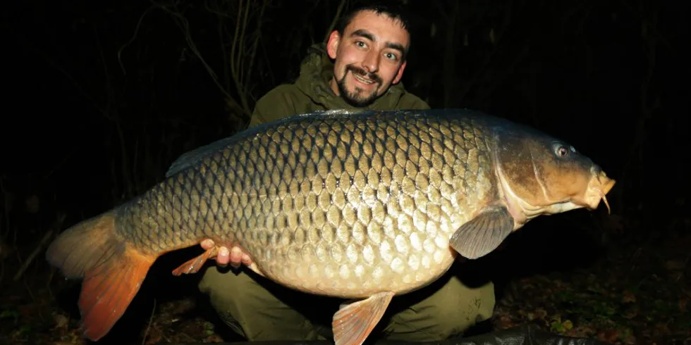 Podzimní krmná kampaň, část 5