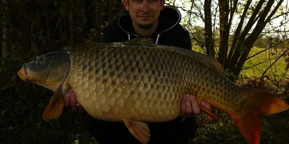 Naděje nikdy neumírá