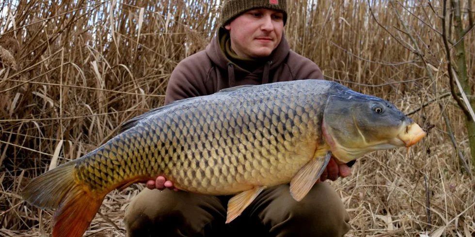 Chladné měsíce na začátku sezóny 2020