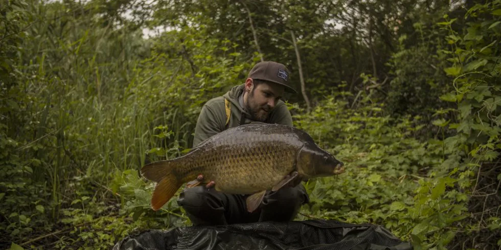 Spomienky na extázu