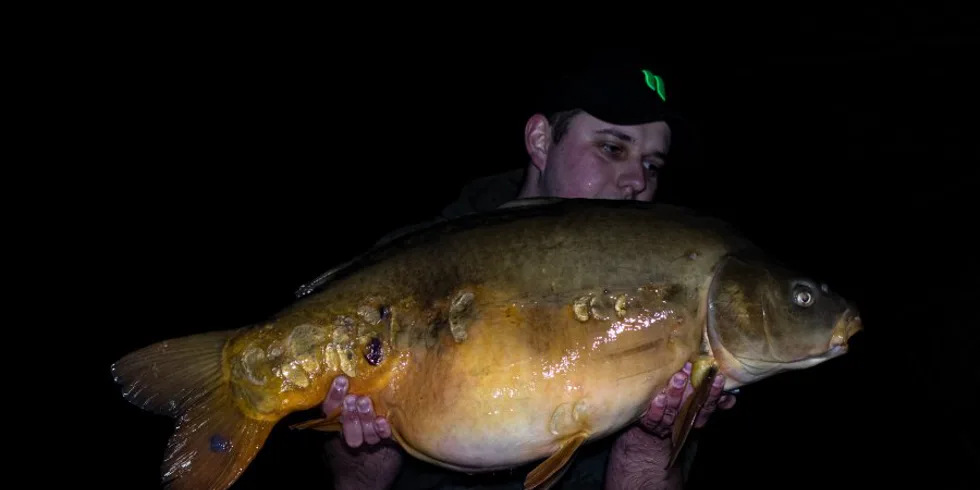 Předvánoční lov kaprů