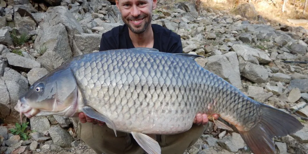 ORLÍK - DUBEN 2020 (1. část)