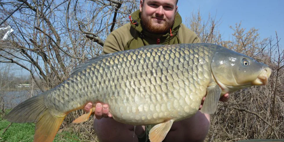 Návrat na začátek