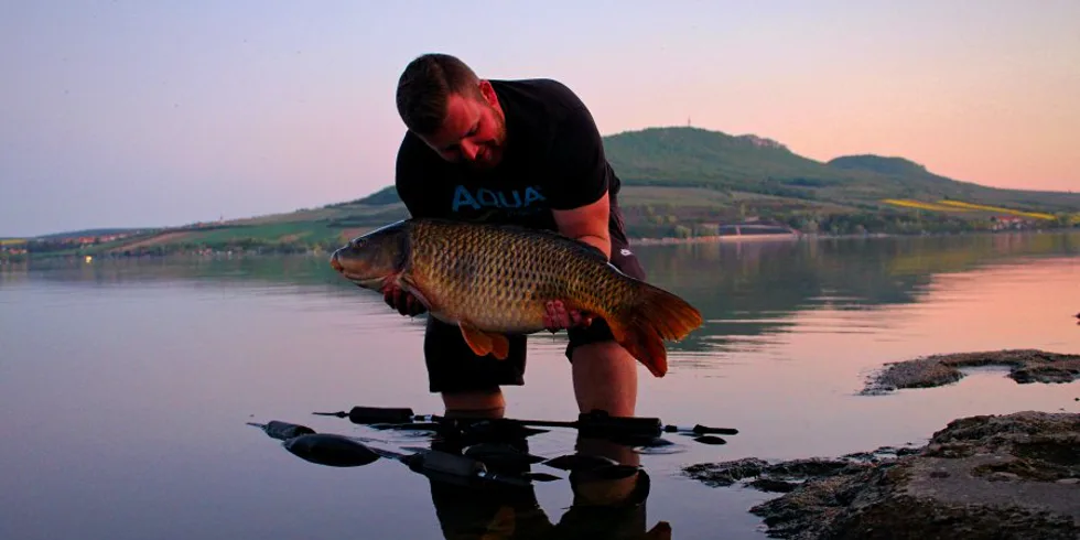 Tři noční vycházky