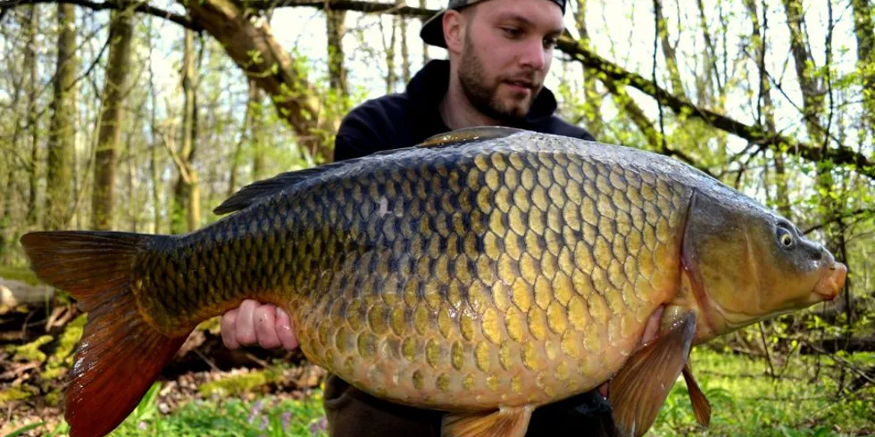 Předvelikonoční nadílka