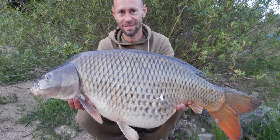 ORLÍK - KVĚTEN 2020