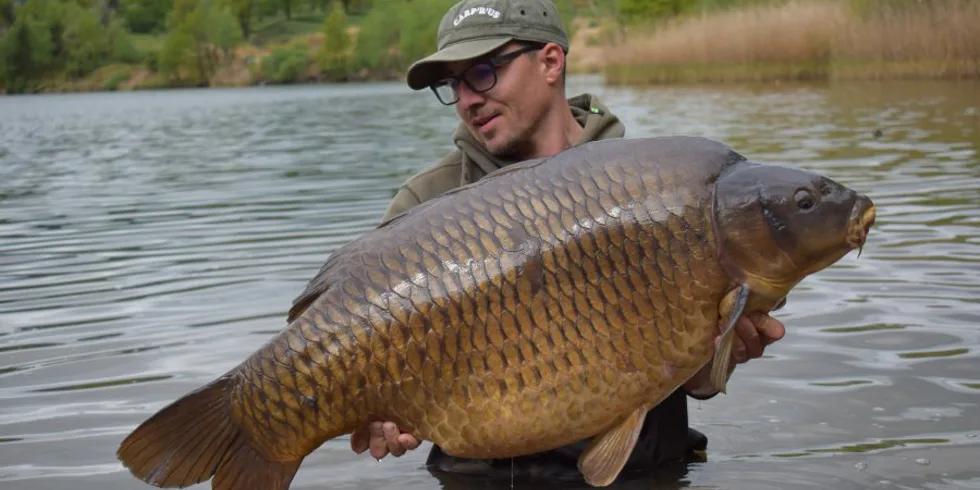 Stát se neviditelným