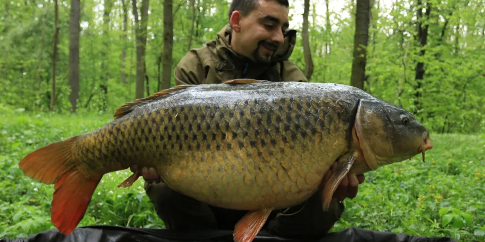 Jarní řeka - to sedlo