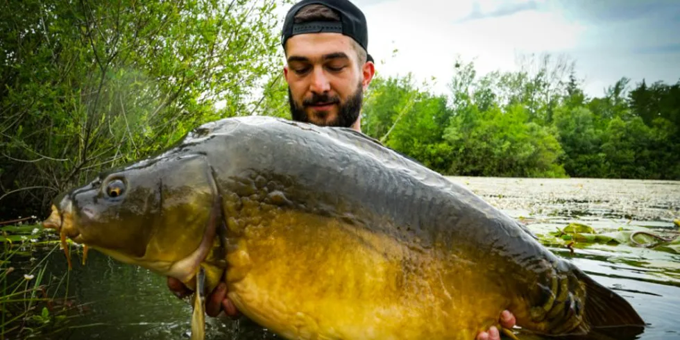 Zarostlé jezero - GRASSY WATER