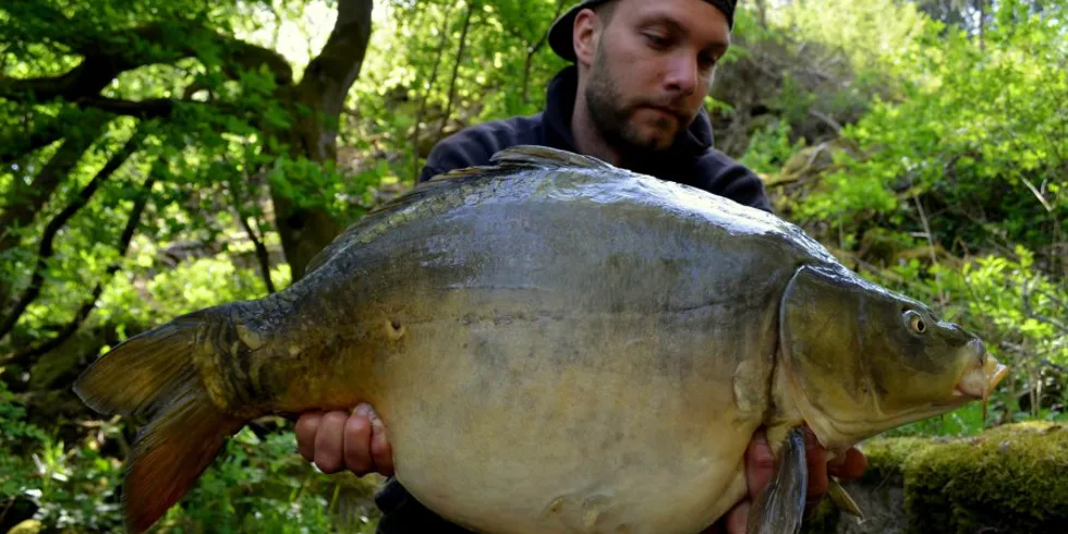 Realita nad očekávání