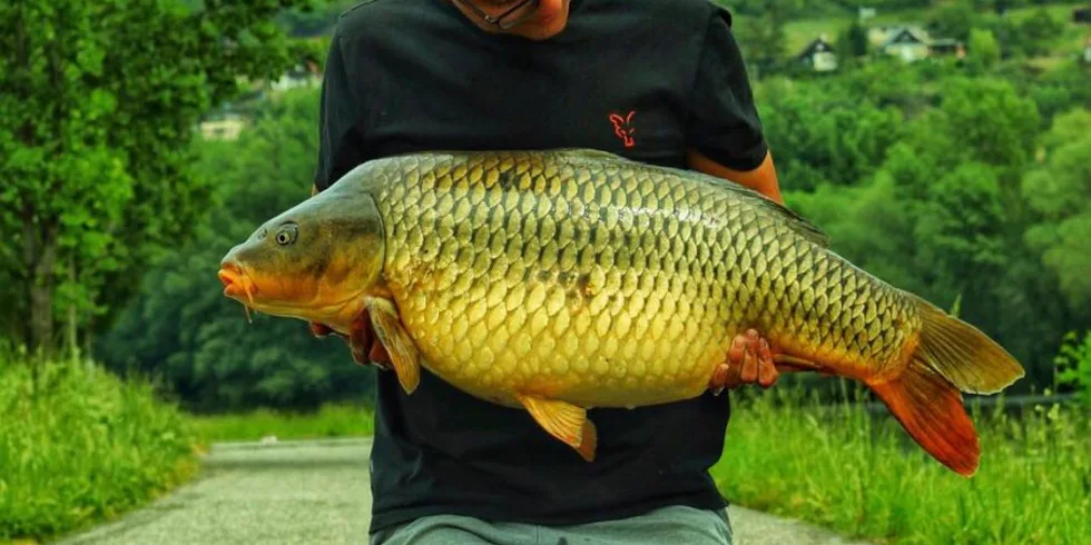 14 dní toulání po Labi