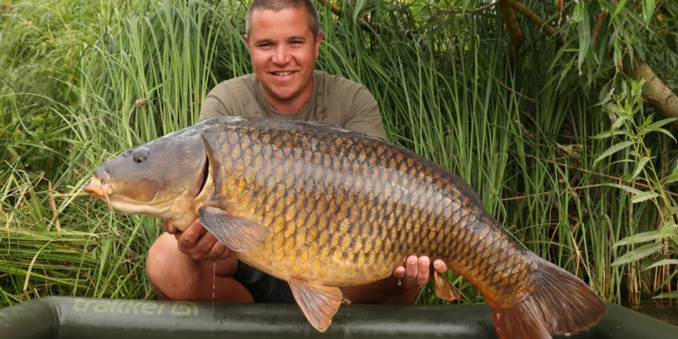 Letní krátké vycházky