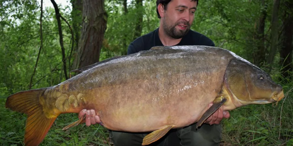 Konec dobrý, všechno dobré