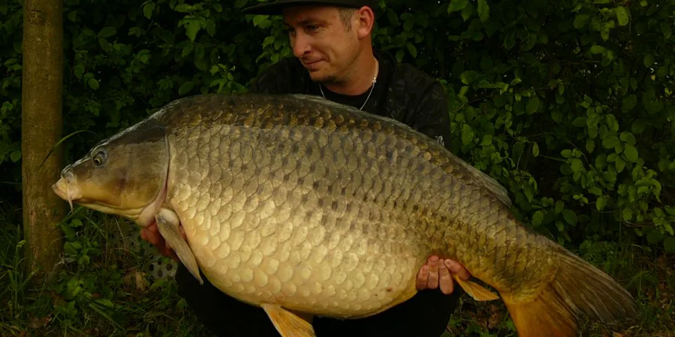 Narozeninová tradice