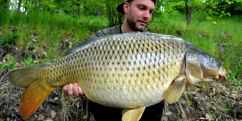 Orlík – tentokrát úspěšně