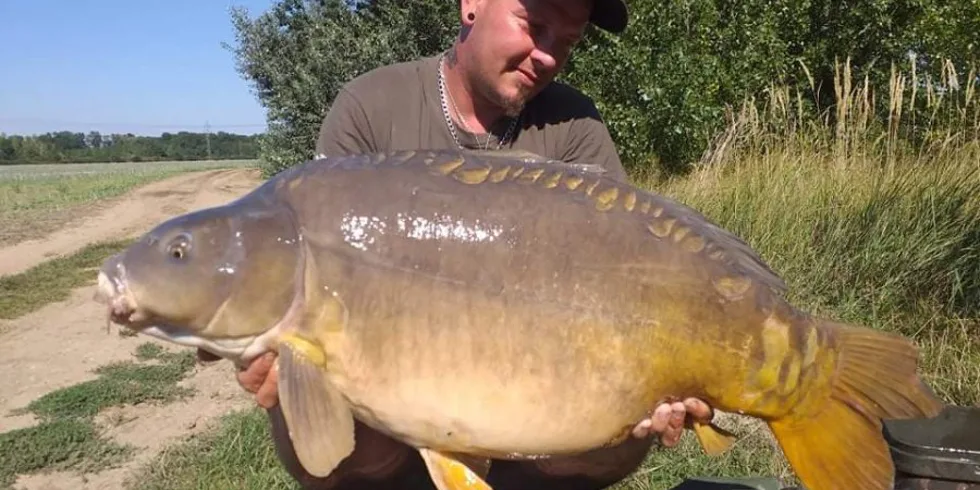 Dovolenkové vychádzky