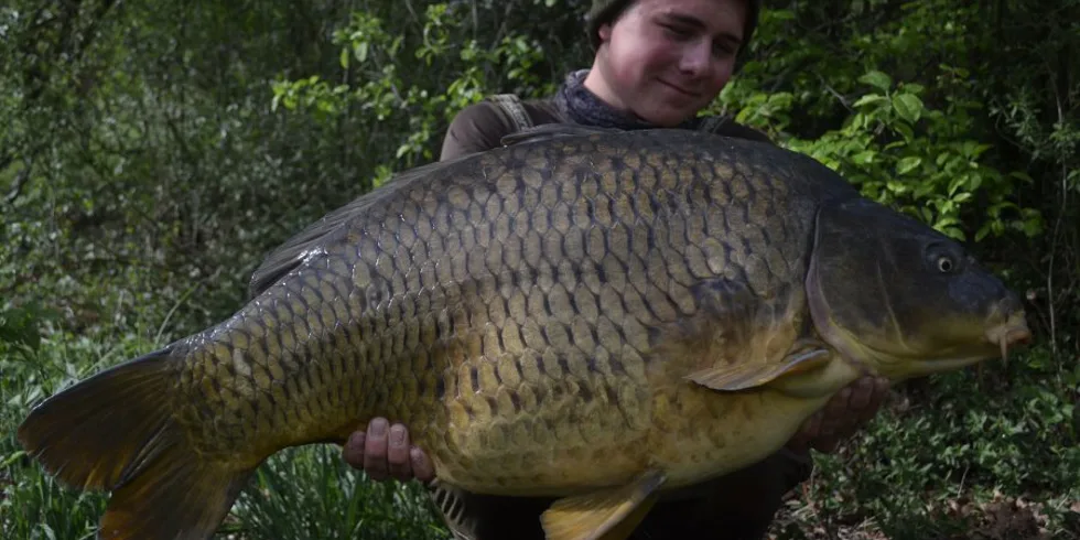 Ve znamení rekordu 1/3