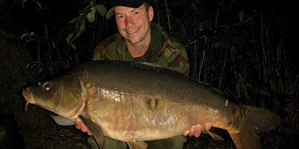 Království plné lysců