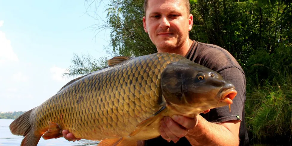 Tropické letní dny