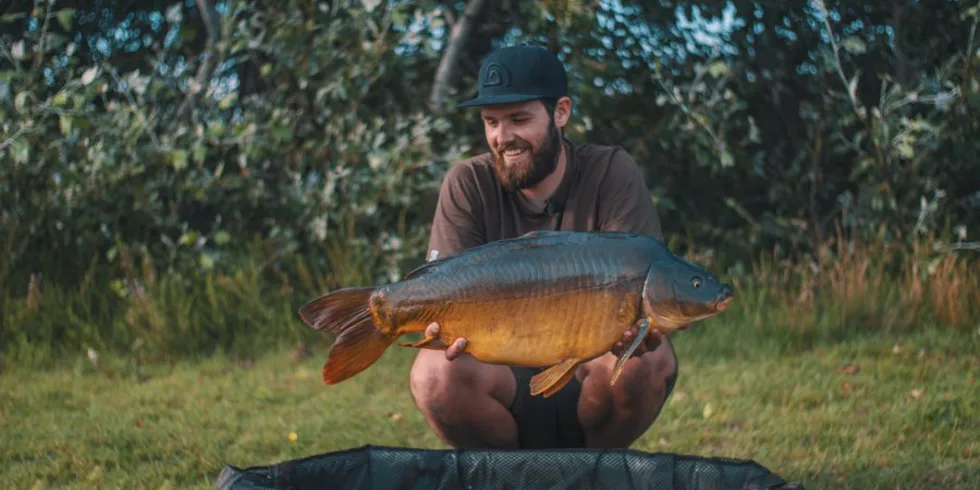 Food Signal = Furt signál