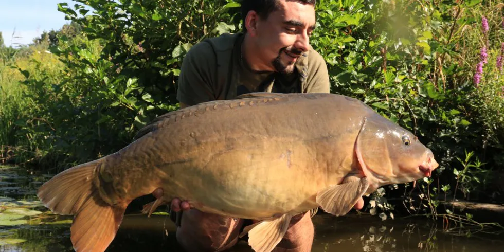 Krátkodobé vycházky - část.1