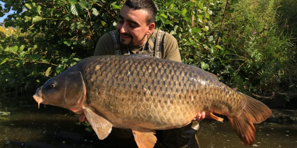 Krátkodobé vycházky - čast 2