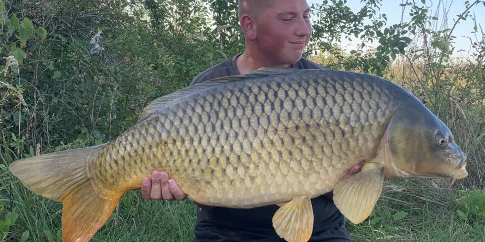 Čaro krátkych výprav