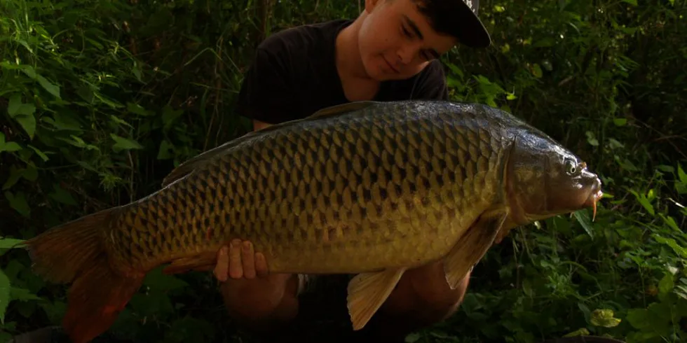 Vltavská kaskáda zas a znova