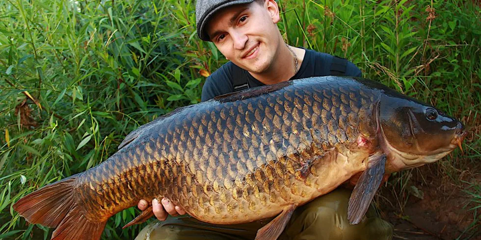 Letné noci s Ronnie rigmi