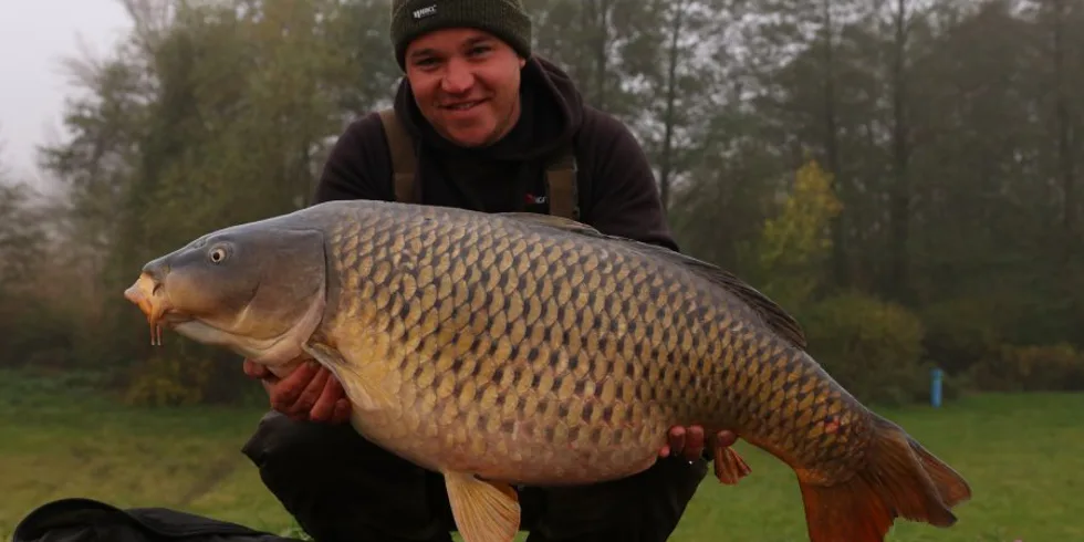 Listopad pod Pálavou